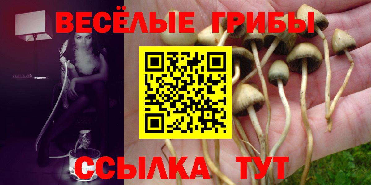 Галлюциногенные грибы GOLDEN TEACHER  Вход с VPN  Люберцы 